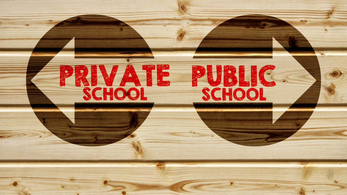 Memilih Antara Sekolah Negeri dan Swasta: Panduan Penting untuk Orang Tua dan Calon Siswa sebelum Mendaftar PPDB 2024 Gambar Pilihan Sekolah Swasta dan Negeri